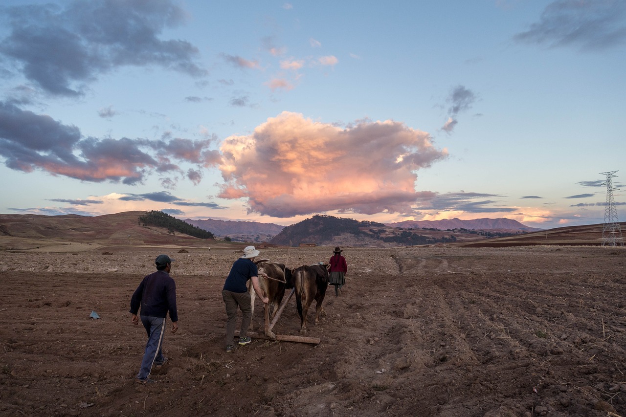 The Cultural Richness of the Pre-Columbian Civilizations